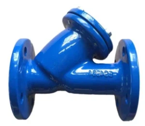 Ductile Cast Iron Flanged Y Strainer